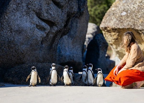 Highlights of South Africa